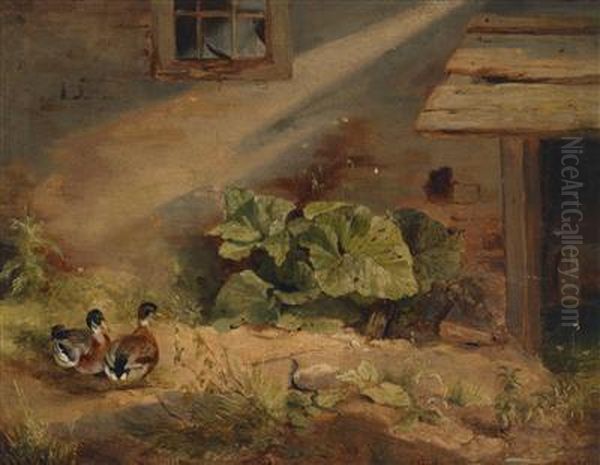 Ducks In The Courtyard - view 1