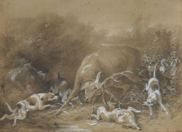 Jagdhunde, Einen Hirsch Stellend - view 1