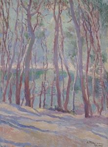 Sous-bois Sous-bois