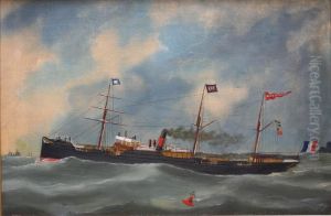 Portrait D'un Cargo Mixte De La Chn
