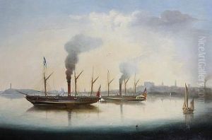 Crowded Paddlesteamers Lying At Anchor In A Harbor