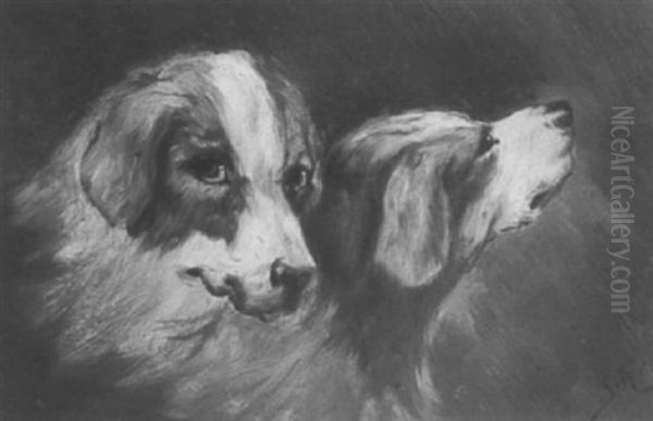 Hundeportrait Mit Zwei Weis-rot Gefleckten Jagdhunden - view 1