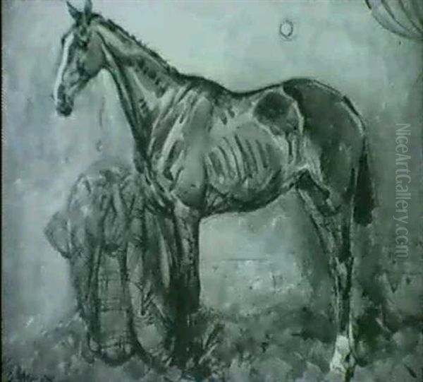 Mare By Johnny Morgan - view 1
