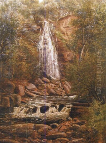 Mallyan Spout Waterfall, Goathland - view 1