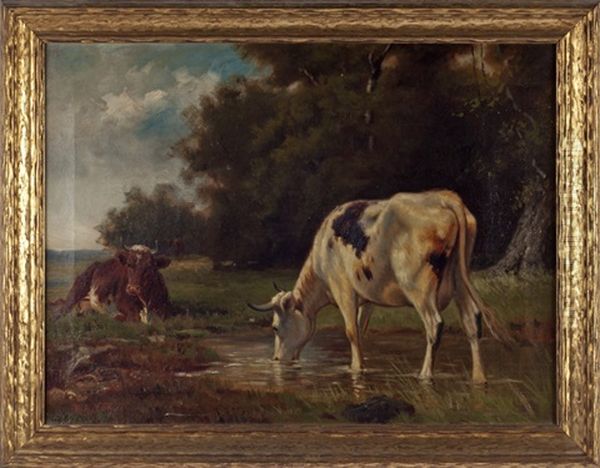 Cow In A Pasture - view 1