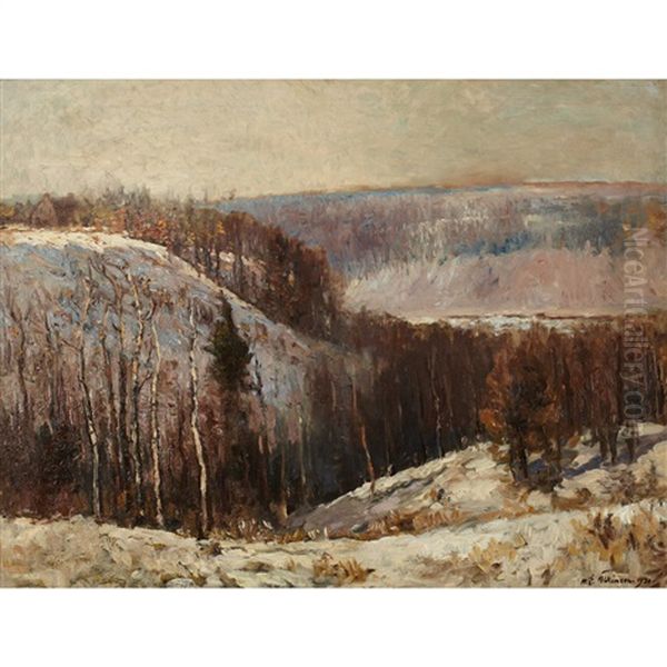 Winter Landscape - view 1