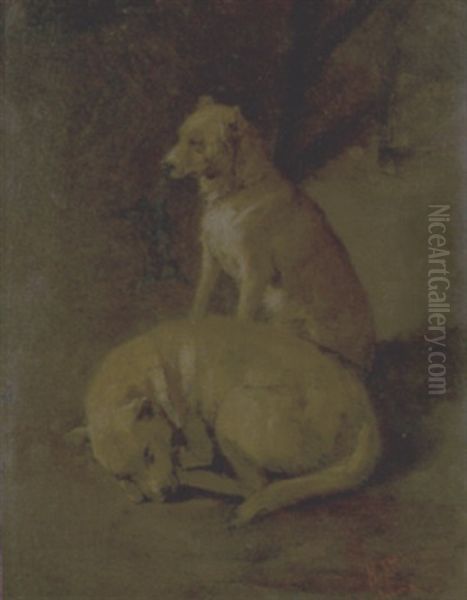 Due Cani - view 1
