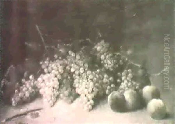 Nature Morte - view 1