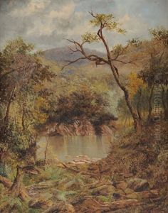On The Manganui-a-tea. Tributary Of The Wanganui River On The Manganui-a-tea. Tributary Of The Wanganui River