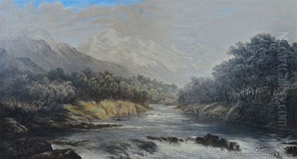Haast River And Mountains - view 1