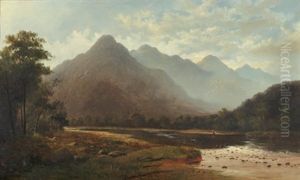 The Shag River, Otago
