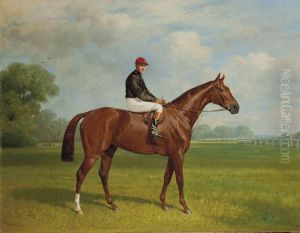Jockey Sur Un Cheval Jockey Sur Un Cheval
