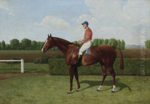 Das Rennpferd Gondolat Mit Jockey.