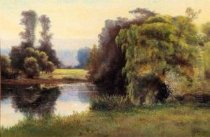 Willow Tree By The Lake