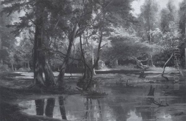 Forest And Water - view 1