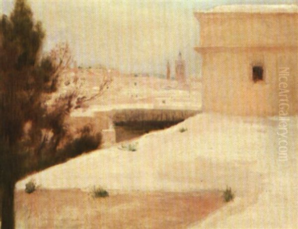 Les Toites De Tunis - view 1