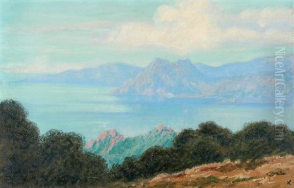 Corse, Le Golfe De Porto - view 1