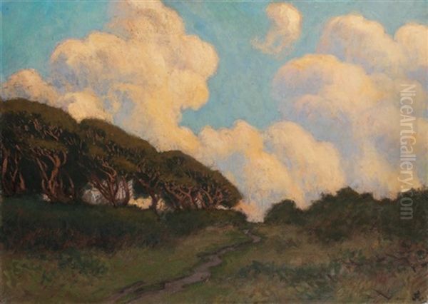 Pres Des Moutiers, Effet De Nuages, Les Bois De Varangeville (normandie) - view 1