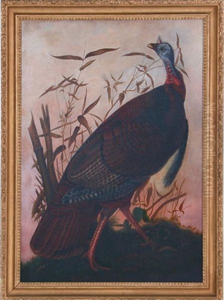 Wild Turkey (plate 1 From Birds Of America) - view 1