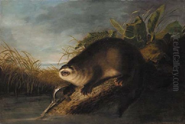 Otter In A Trap - view 1