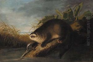Otter In A Trap