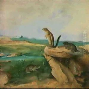 Harris Antelope Ground Squirrel, N.m. California            Vole And Wood Rat