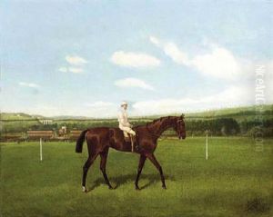 A Bay Racehorse With Jockey Up, A Racecourse Beyond by Jonny Audy