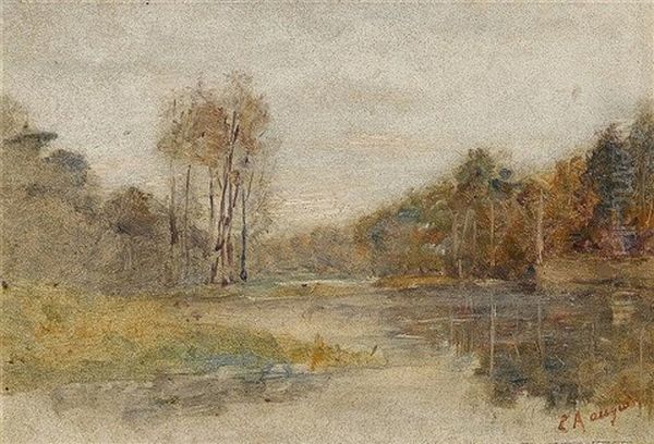 Uferlandschaft - view 1