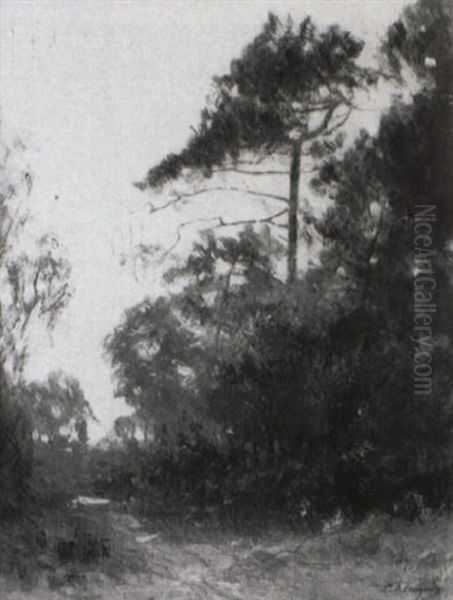 Paysage Aux Grands Pins - view 1