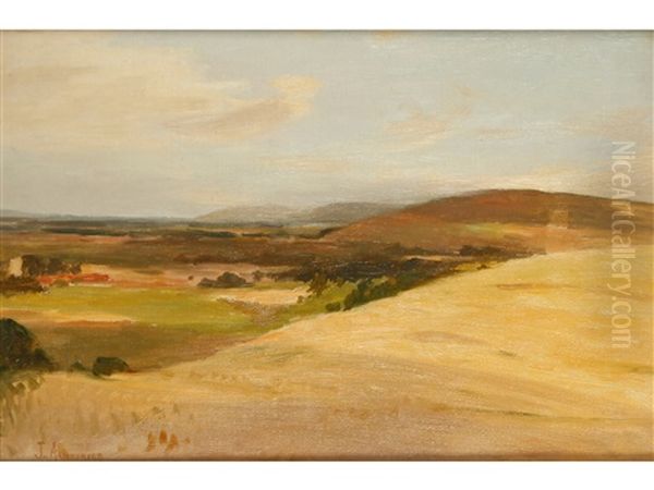 The South Downs - view 1