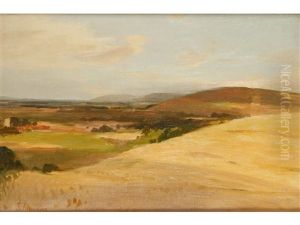 The South Downs