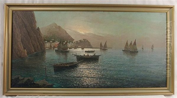 Fishing Port Coast Of Capri - view 1