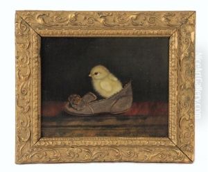 Chick In A Child's Shoe Chick In A Child's Shoe