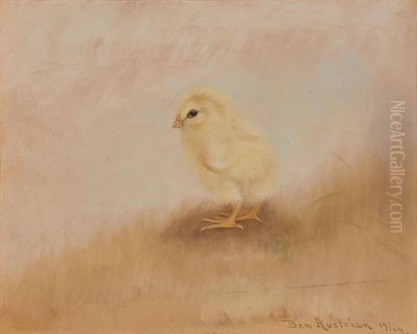 Baby Chick - view 1
