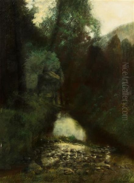 Forest At Evening - view 1
