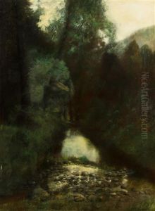 Forest At Evening