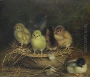 Chicks In Basket, 1904 Chicks In Basket, 1904