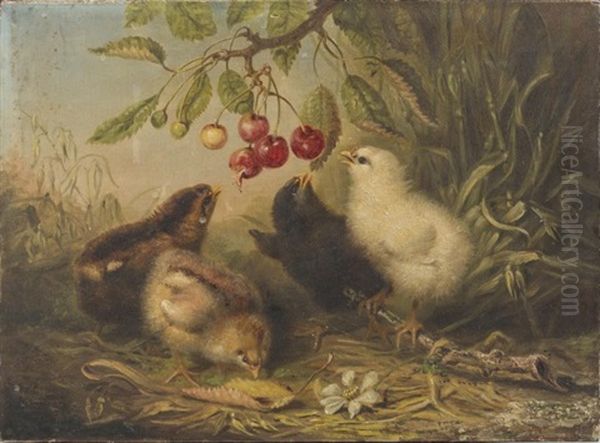 Chicks And A Branch Of Cherries - view 1