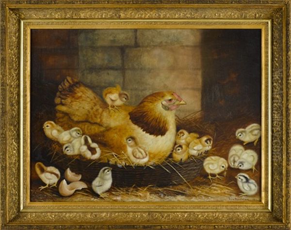 Hen On A Nest With Sixteen Chicks - view 1