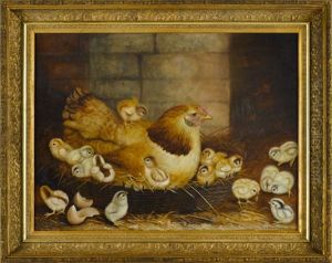 Hen On A Nest With Sixteen Chicks