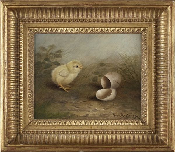 Hatched Chick - view 1