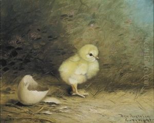 The Newborn Chick