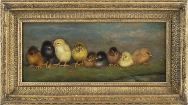 Nine Chicks - view 1