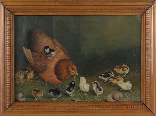 Hen And Thirteen Chicks - view 1
