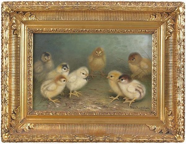 Eight Chicks - view 1