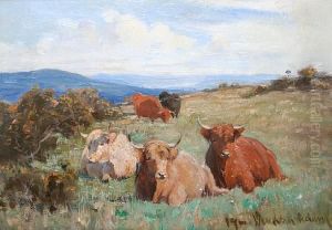 Highland Cattle by Joseph Denovan, Adam Jnr.