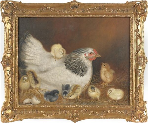 Hen And Nine Chicks - view 1