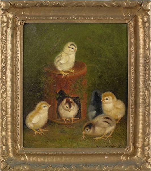 Six Chicks - view 1