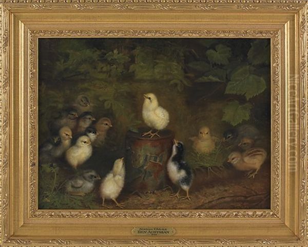 Sixteen Chicks, One Perched On A Tin Can - view 1