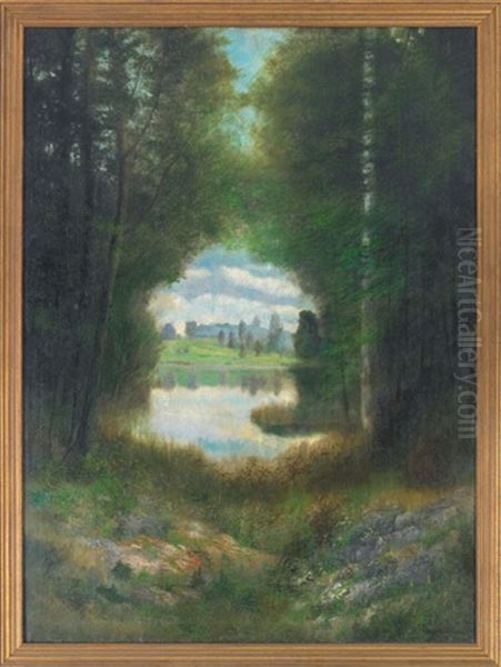 A Glimpse Into Another World - view 1
